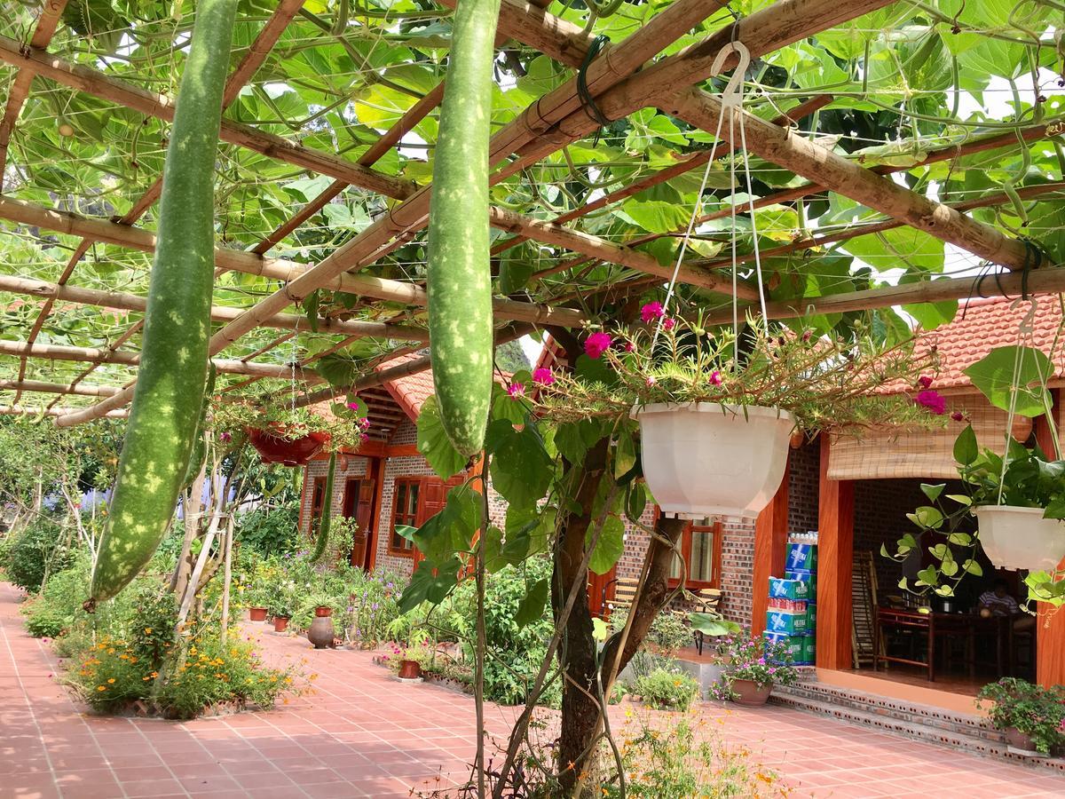 Tam Coc Friendly Homestay Ninh Binh Exterior foto