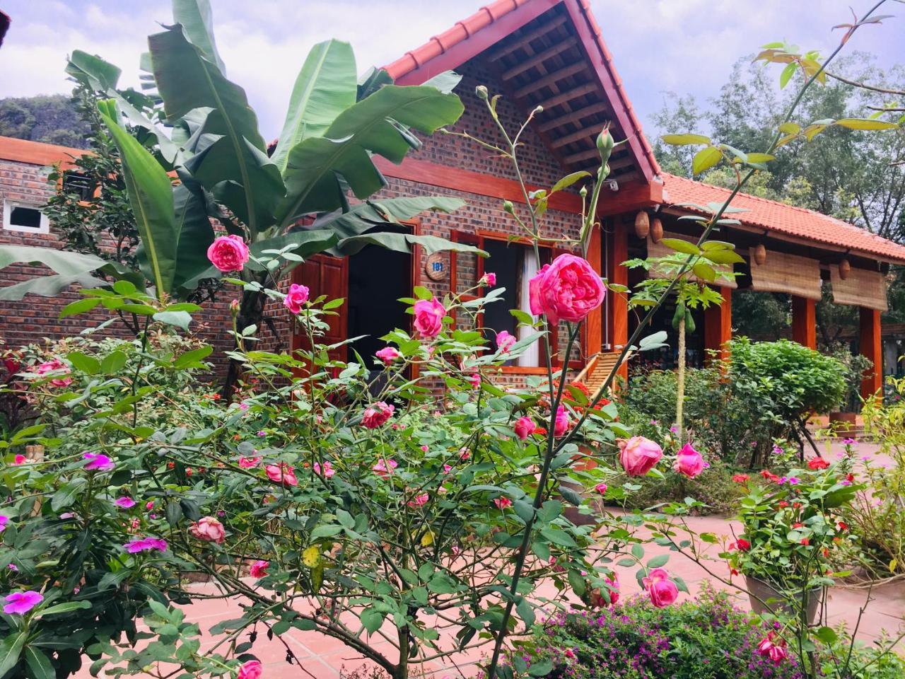 Tam Coc Friendly Homestay Ninh Binh Exterior foto